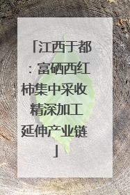 江西于都：富硒西红柿集中采收 精深加工延伸产业链