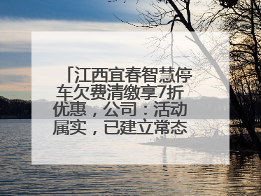 江西宜春智慧停车欠费清缴享7折优惠，公司：活动属实，已建立常态化诉讼追缴机制