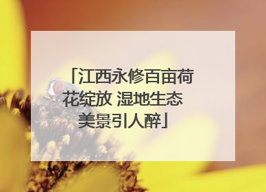 江西永修百亩荷花绽放 湿地生态美景引人醉