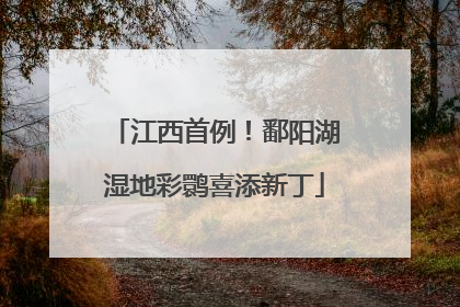 江西首例！鄱阳湖湿地彩鹮喜添新丁