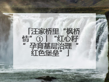 汪家桥里“枫桥情”①丨“红心籽”孕育基层治理“红色堡垒”