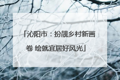 沁阳市：扮靓乡村新画卷 绘就宜居好风光