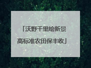 沃野千里绘新景 高标准农田保丰收