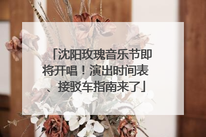 沈阳玫瑰音乐节即将开唱！演出时间表、接驳车指南来了