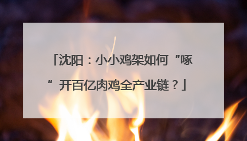 沈阳：小小鸡架如何“啄”开百亿肉鸡全产业链？