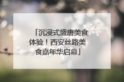 沉浸式盛唐美食体验！西安丝路美食嘉年华启幕