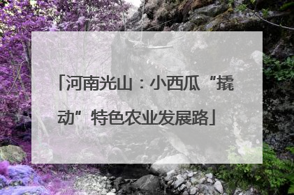 河南光山：小西瓜“撬动”特色农业发展路