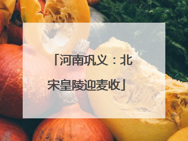 河南巩义：北宋皇陵迎麦收