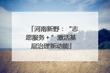河南新野：“志愿服务＋”激活基层治理新动能