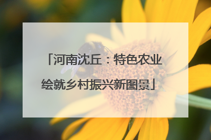 河南沈丘：特色农业绘就乡村振兴新图景