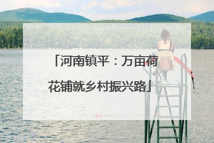 河南镇平：万亩荷花铺就乡村振兴路