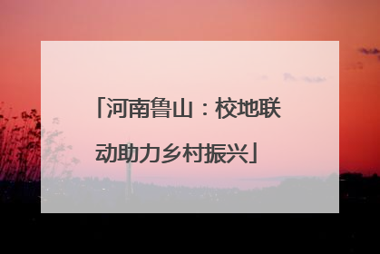 河南鲁山：校地联动助力乡村振兴