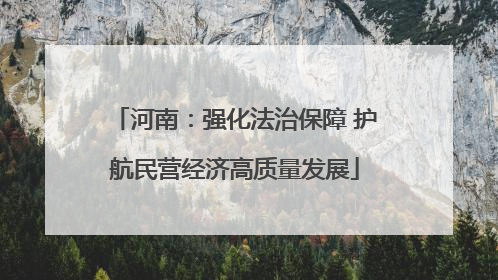 河南：强化法治保障 护航民营经济高质量发展