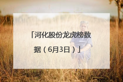 河化股份龙虎榜数据（6月3日）