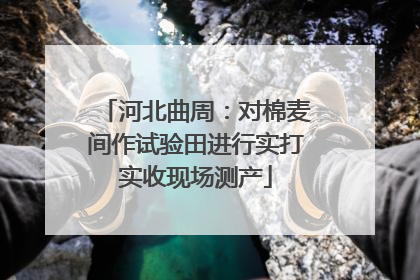 河北曲周：对棉麦间作试验田进行实打实收现场测产