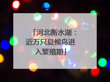 河北衡水湖：近万只夏候鸟进入繁殖期