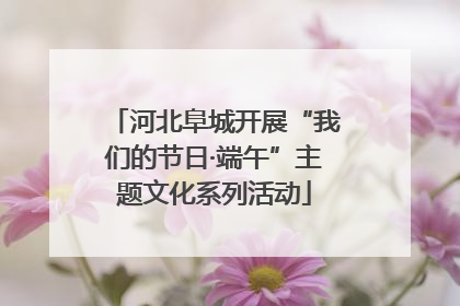 河北阜城开展“我们的节日·端午”主题文化系列活动