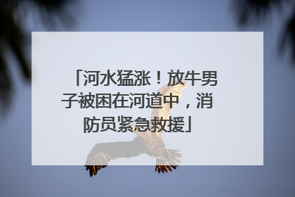 河水猛涨！放牛男子被困在河道中，消防员紧急救援
