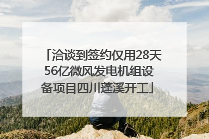 洽谈到签约仅用28天 56亿微风发电机组设备项目四川蓬溪开工