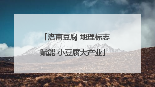 洛南豆腐 地理标志赋能 小豆腐大产业