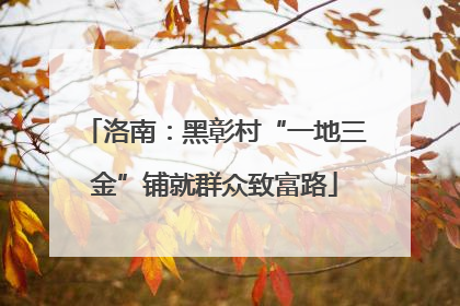 洛南：黑彰村“一地三金”铺就群众致富路