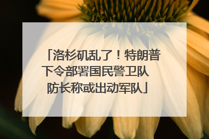 洛杉矶乱了！特朗普下令部署国民警卫队 防长称或出动军队