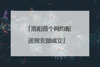 洛阳首个网约配送党支部成立
