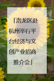 洛龙区赴杭州举行平台经济与文创产业招商推介会