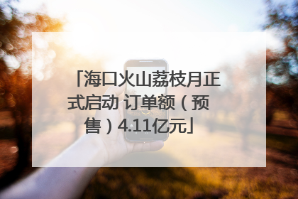 海口火山荔枝月正式启动 订单额（预售）4.11亿元