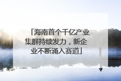 海南首个千亿产业集群持续发力，新企业不断涌入赛道
