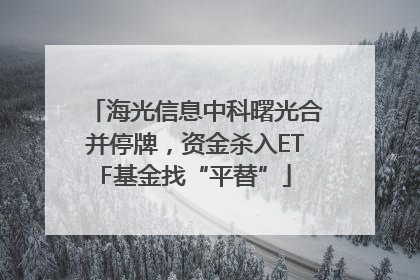 海光信息中科曙光合并停牌，资金杀入ETF基金找“平替”