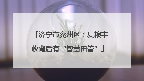 济宁市兖州区：夏粮丰收背后有“智慧田管”