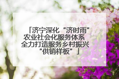 济宁深化“济时雨”农业社会化服务体系 全力打造服务乡村振兴“供销样板”