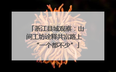 浙江县域观察：山间工坊诠释共富路上“一个都不少”