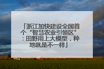 浙江加快建设全国首个“智慧农业引领区”：田野用上大模型，种地就是不一样