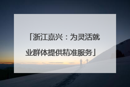 浙江嘉兴：为灵活就业群体提供精准服务