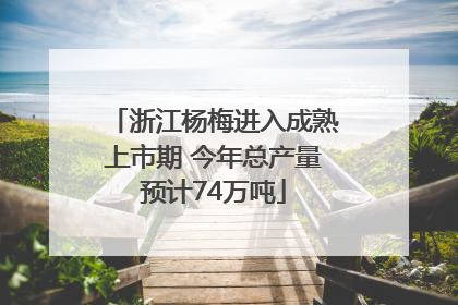 浙江杨梅进入成熟上市期 今年总产量预计74万吨