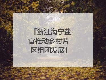 浙江海宁盐官推动乡村片区组团发展
