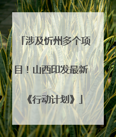 涉及忻州多个项目！山西印发最新《行动计划》