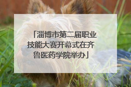 淄博市第二届职业技能大赛开幕式在齐鲁医药学院举办