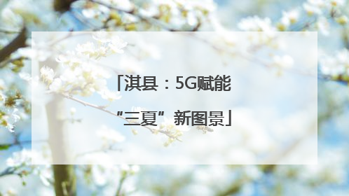 淇县：5G赋能“三夏”新图景