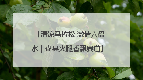 清凉马拉松 激情六盘水｜盘县火腿香飘赛道