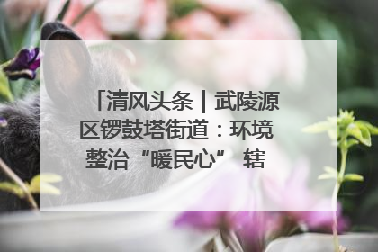 清风头条｜武陵源区锣鼓塔街道：环境整治“暖民心” 辖区面貌“靓”起来