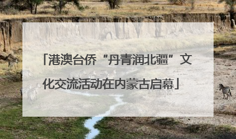港澳台侨“丹青润北疆”文化交流活动在内蒙古启幕