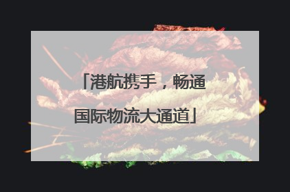 港航携手，畅通国际物流大通道