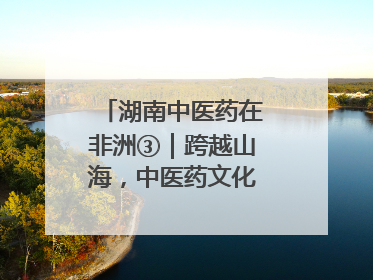 湖南中医药在非洲③｜跨越山海，中医药文化浸润非洲