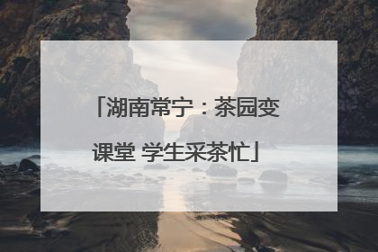 湖南常宁：茶园变课堂 学生采茶忙