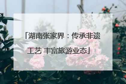 湖南张家界：传承非遗工艺 丰富旅游业态