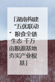 湖南构建“五优联动”粮食全链生态 千万亩粮源基地夯实产业根基
