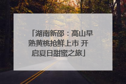 湖南新邵：高山早熟黄桃抢鲜上市 开启夏日甜蜜之旅